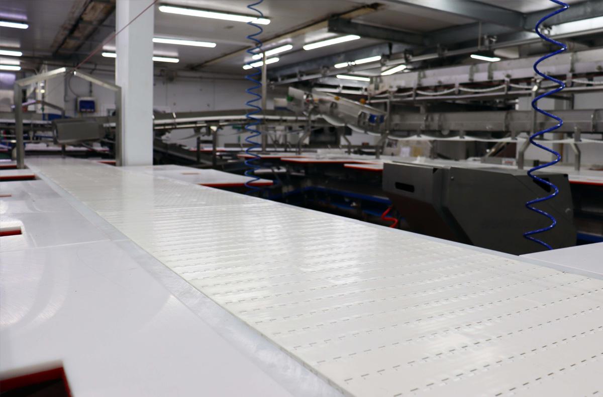 Primal and Flank conveyors from ENE Conveyors | UK & Ireland