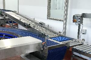 Scale Top Conveyor